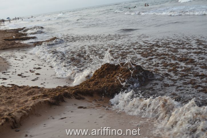 https://new.ariffino.netDSC_0089DSC_0089DSC_0089JPGDSC_0089