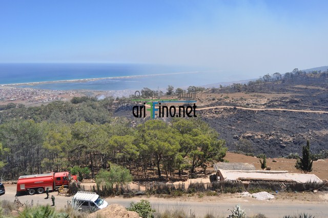 DSC_0173 (نسخ)