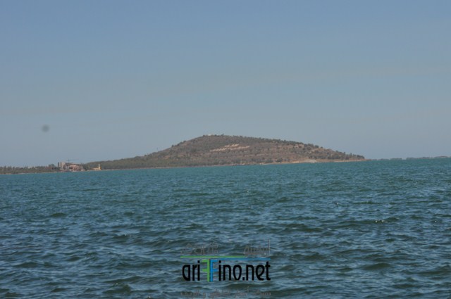 DSC_0186 (نسخ)