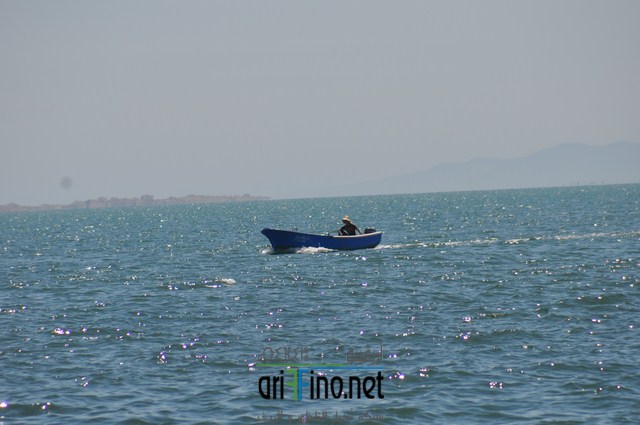 DSC_0190 (نسخ)