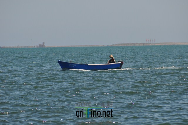 DSC_0191 (نسخ)
