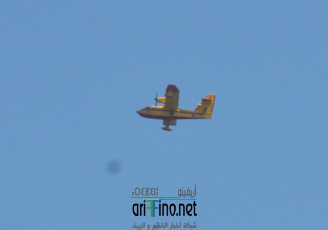 DSC_0195 (نسخ)
