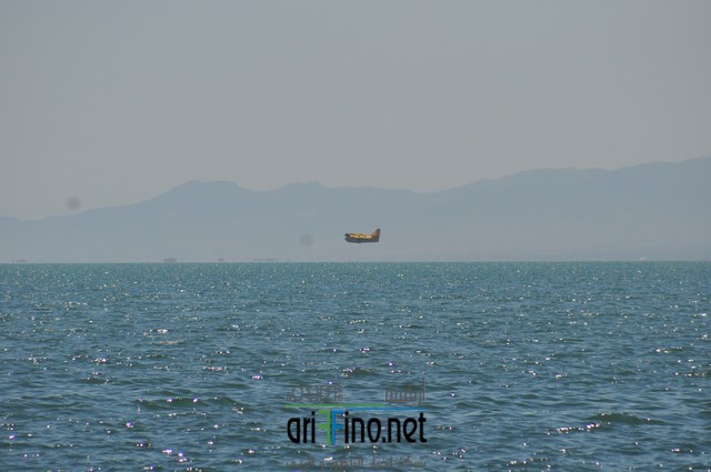 DSC_0196 (نسخ)