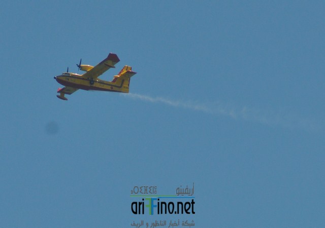 DSC_0199 (نسخ)