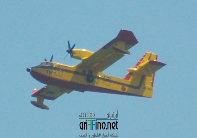 DSC_0200 (نسخ)