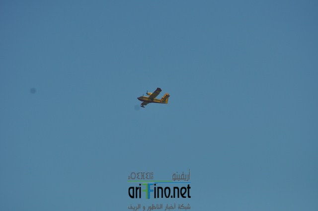 DSC_0201 (نسخ)