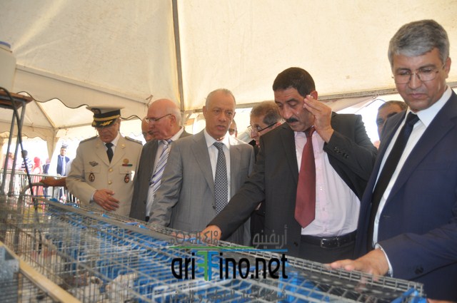 DSC_0238 (نسخ)