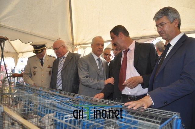 DSC_0241 (نسخ)