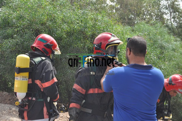 DSC_0275 (نسخ)