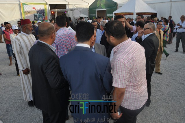 DSC_0278 (نسخ)