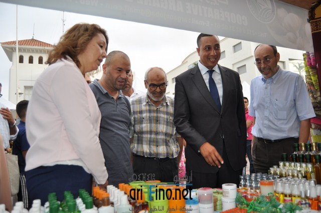 DSC_0562 (نسخ)