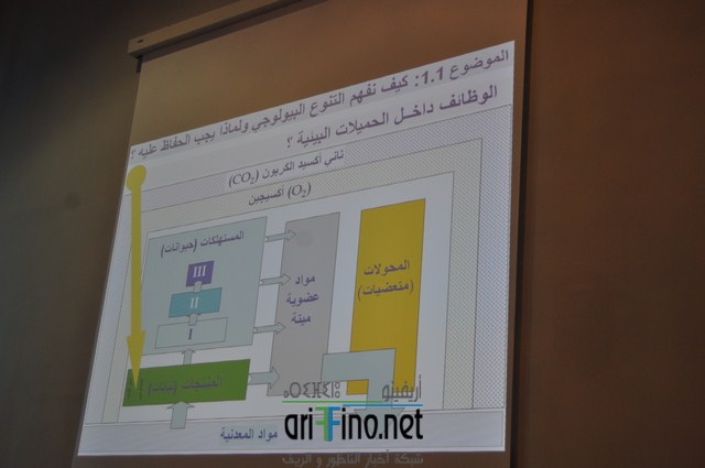 DSC_0702 (نسخ)