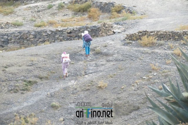 IMG-20160628-WA0037 (نسخ)