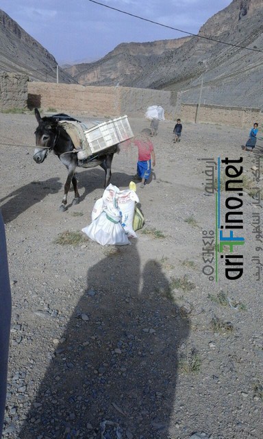 IMG-20160704-WA0055 (نسخ)