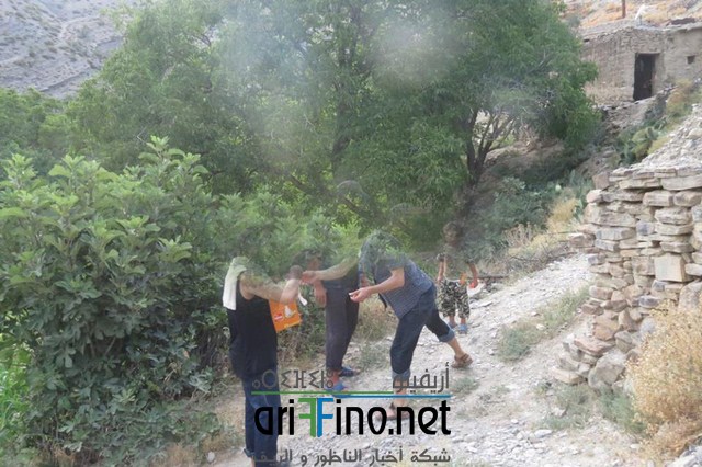 IMG-20160704-WA0062 (نسخ)