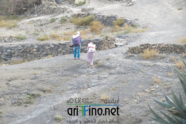 IMG-20160704-WA0063 (نسخ)