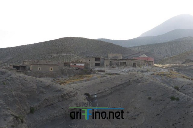 IMG-20160704-WA0065 (نسخ)