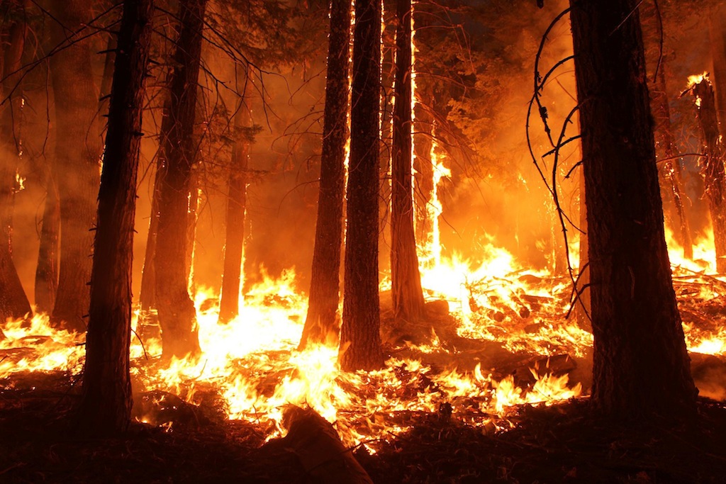 The Rim Fire burns at night in this undated United States Forest Service handout photo near Yosemite National Park, California, released to Reuters August 30, 2013. Fire crews battling to outflank a monster wildfire inside Yosemite National Park made headway on Friday in confining flames to wilderness areas but were powerless to salvage the region's sputtering tourist economy at the end of its peak summer tourist season. REUTERS/Mike McMillan/U.S. Forest Service/Handout via Reuters (UNITED STATES - Tags: DISASTER ENVIRONMENT) ATTENTION EDITORS - THIS IMAGE WAS PROVIDED BY A THIRD PARTY. FOR EDITORIAL USE ONLY. NOT FOR SALE FOR MARKETING OR ADVERTISING CAMPAIGNS. THIS PICTURE IS DISTRIBUTED EXACTLY AS RECEIVED BY REUTERS, AS A SERVICE TO CLIENTS