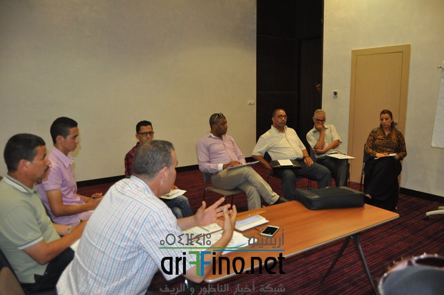 DSC_0165 (Copier)