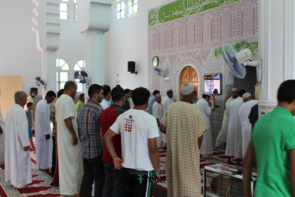 IMG_7886 (نسخ)