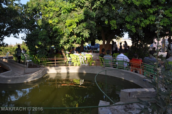 dsc_0644-copier