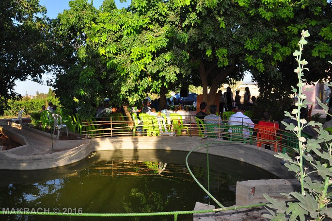 dsc_0646-copier