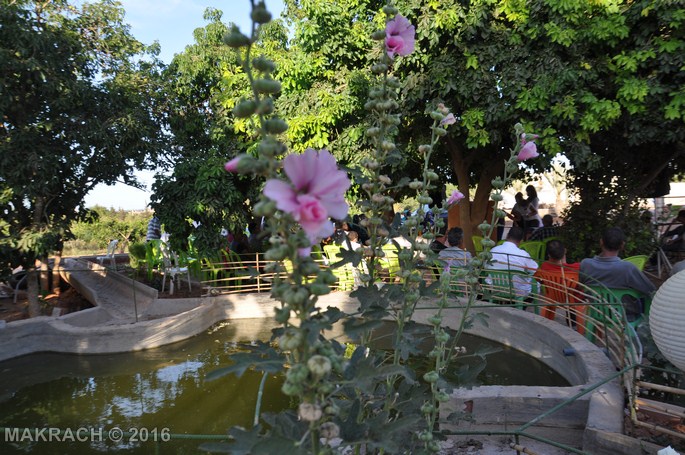 dsc_0649-copier