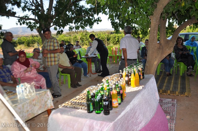 dsc_0664-copier