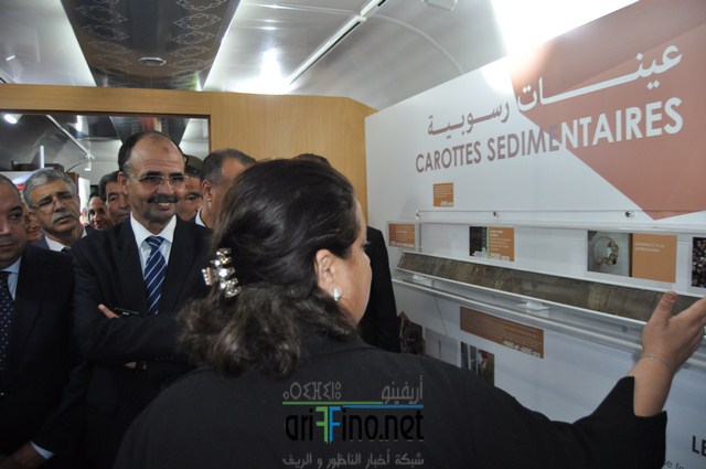 dsc_1183-copier