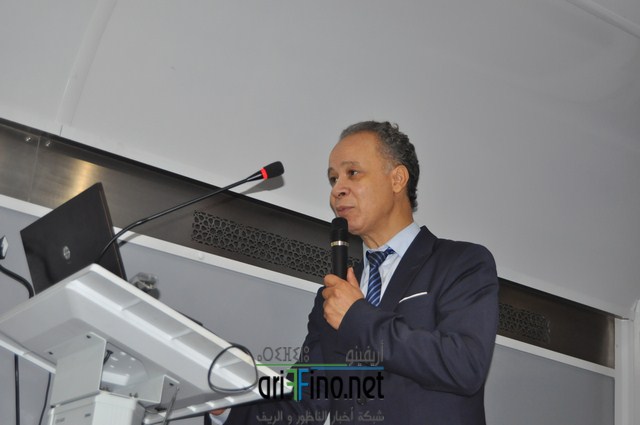 dsc_1290-copier