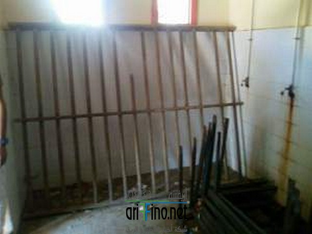 received_337971283219466-copier