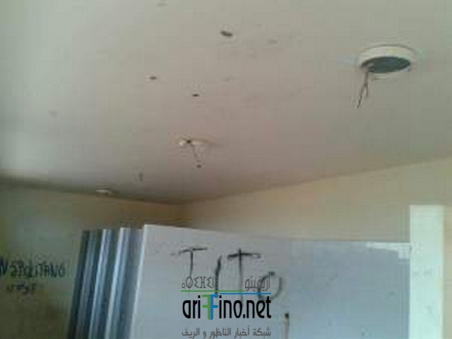received_337971296552798-copier