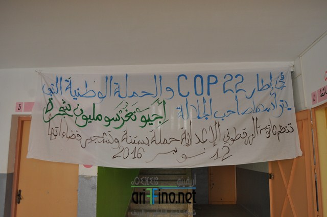 dsc_0018-copier