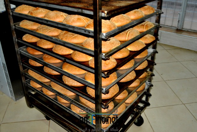 dsc_0081-copier