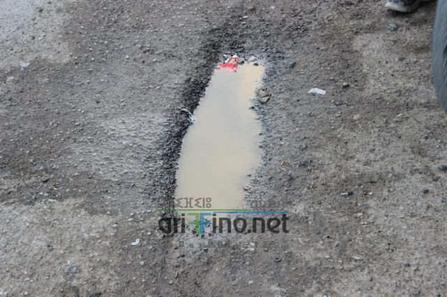 0d312ec5 4c0a 4598 9b5a 040f66128869 - أريفينو.نت